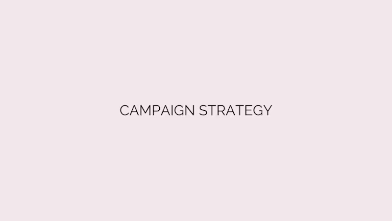 Cover image for Campaign Strategy