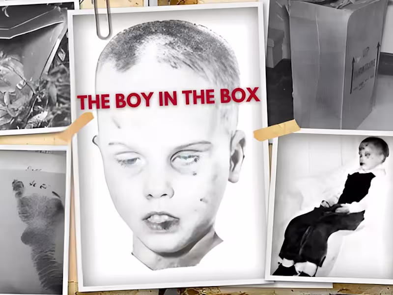 Cover image for The Boy In The Box