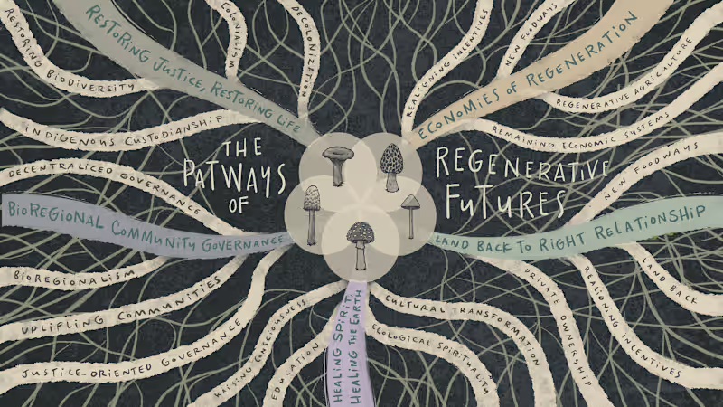 Cover image for Visual synthesis created for the