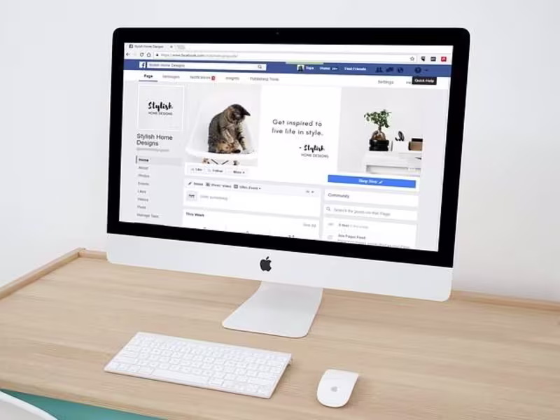 Cover image for Professional Web Design