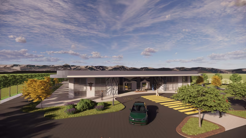 Cover image for Thesis Project - Mental Sanctuary and Hospital