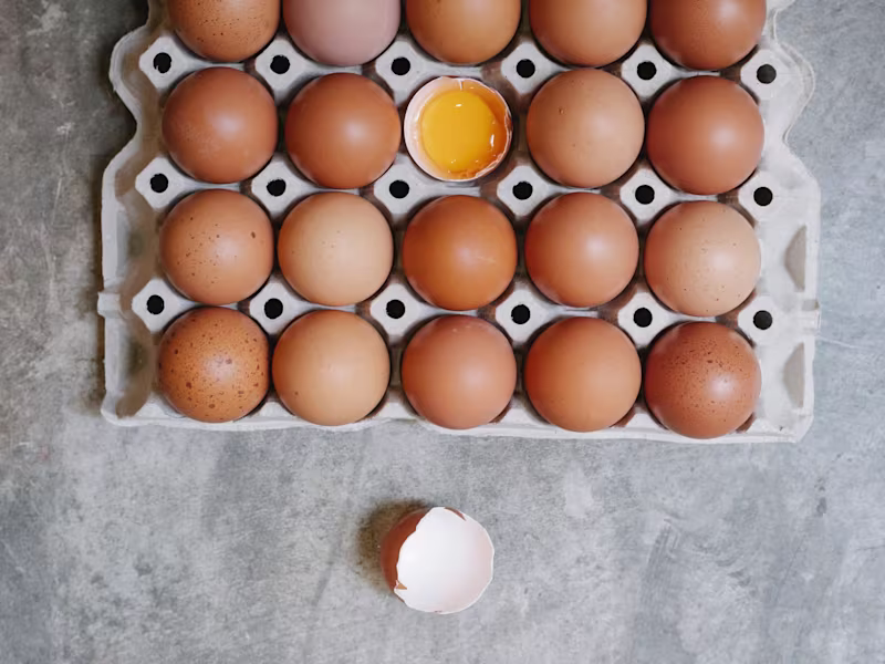 Cover image for 5 Cheap High-Protein Meals for College Students