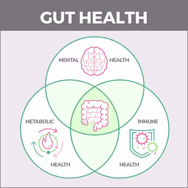 Cover image for How Does Exercise Influence Gastroenterology Health?