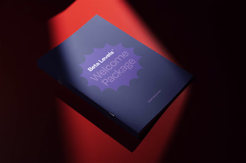 Cover image for Beta Levels - Visual Identity and Collateral Design