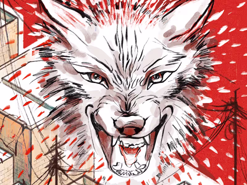 Cover image for Big Bad Wolf