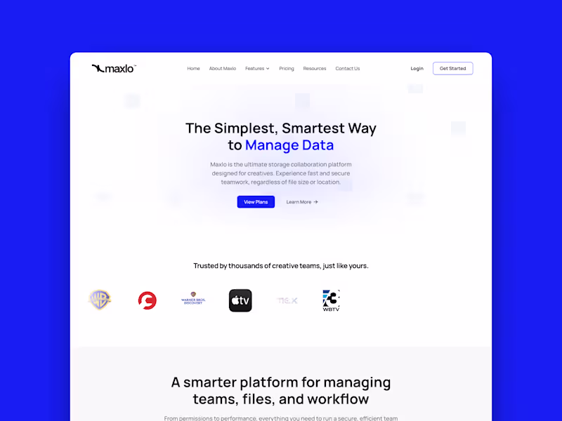 Cover image for Maxlo — Framer Website Build & Interactive Components