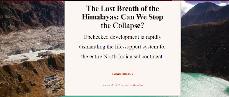 Cover image for A research-based commentary examining unchecked
