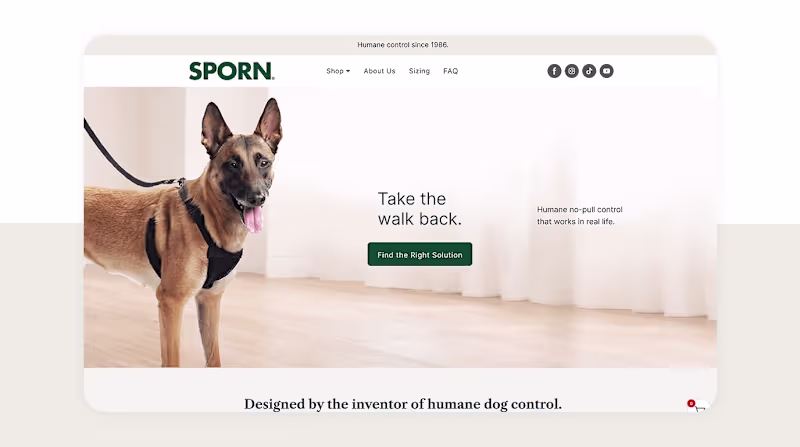 Cover image for Developed the Sporn e-commerce website,