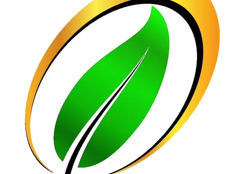 Cover image for I make unique logos for new and small start ups 