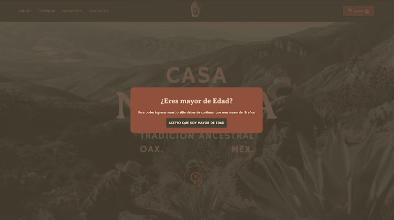 Cover image for Casa Nativa Web Design + Development