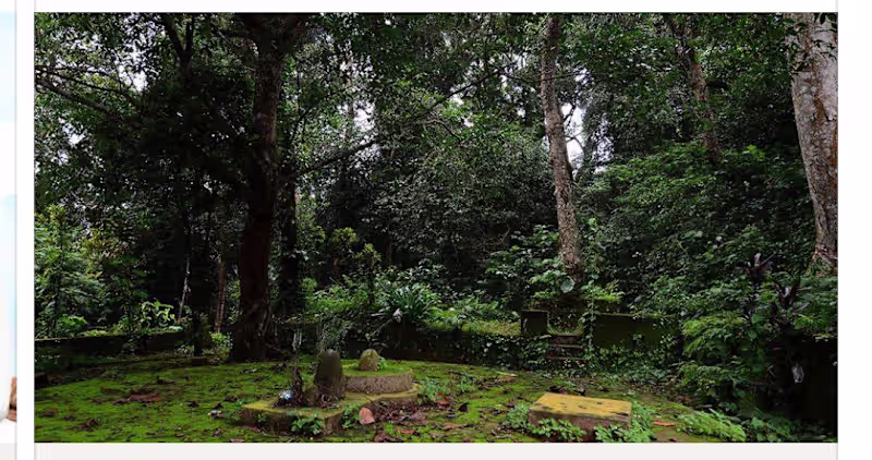Cover image for 
Research-based article exploring India’s sacred