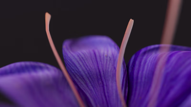 Cover image for Happy Monday everyone! One more
