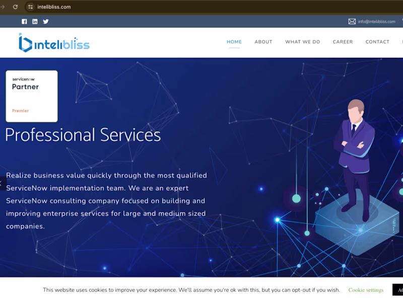Cover image for Website for Intelibliss.com