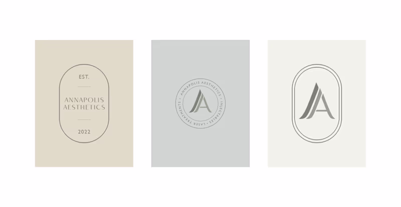 Cover image for Annapolis Aesthetics