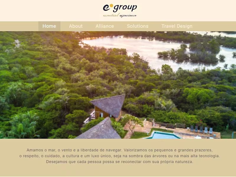 Cover image for E group