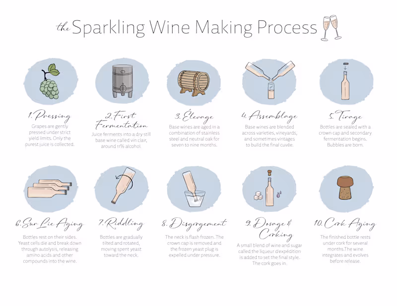 Cover image for Sparkling Wine Making Process Diagram