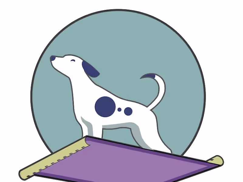 Cover image for Website Prototype with Sample Data