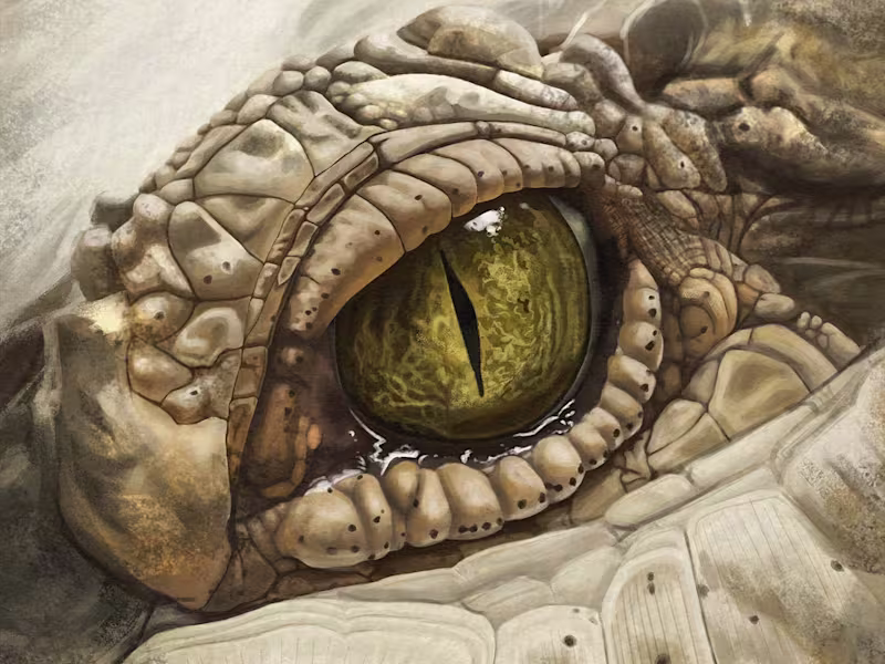 Cover image for Caimán del Orinoco