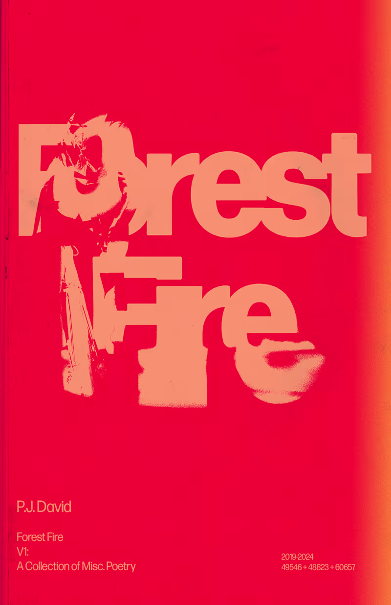 Cover image for Forest Fire: A full visual