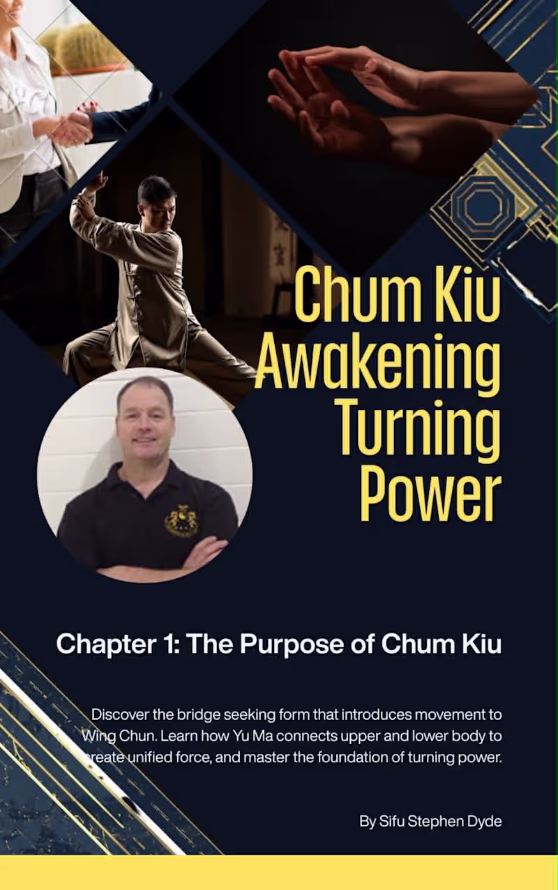 Cover image for Wing Chun