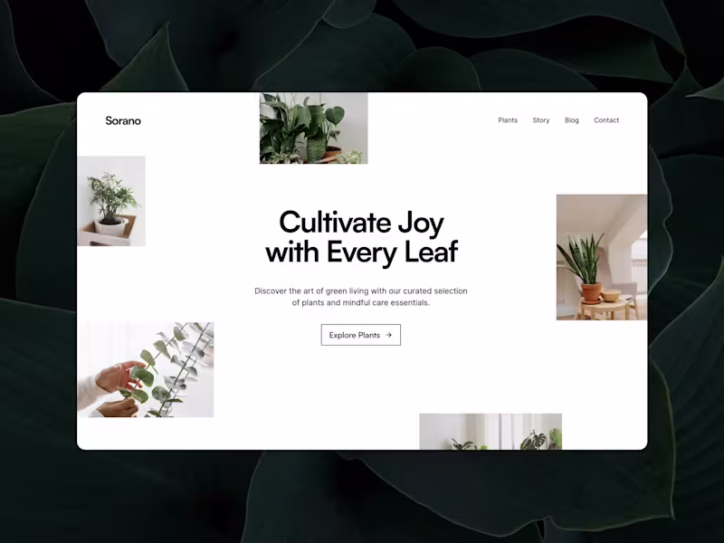 Cover image for ✦ Framer Website (Development)