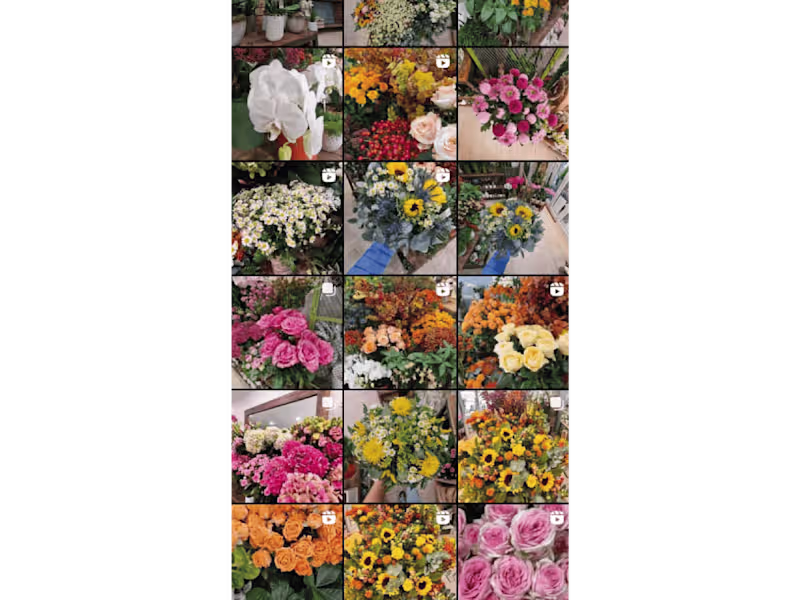 Cover image for Social Media - Management & content strategy 