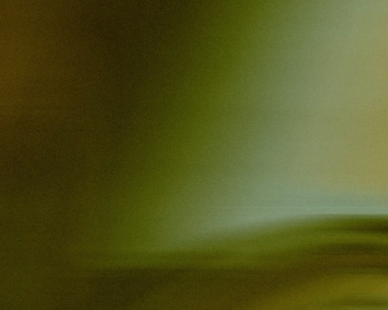 Cover image for Brand Audit