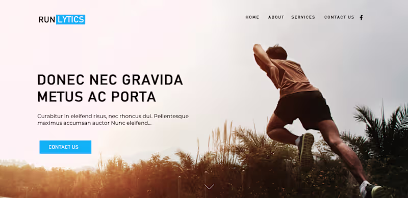 Cover image for Wordpress - Run Lytics Platform Development