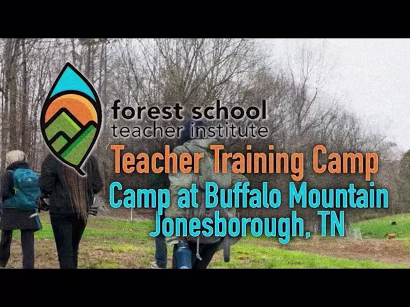 Cover image for Forest School Teaching Documentary