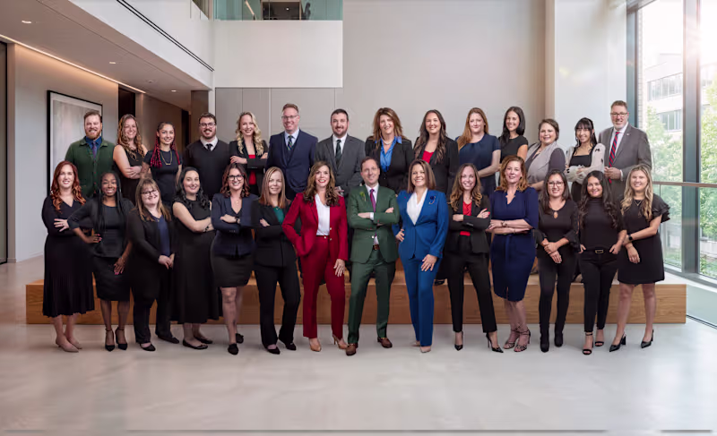 Cover image for Law Firm Portrait System