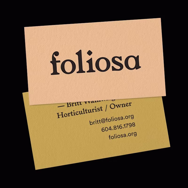 Cover image for Foliosa