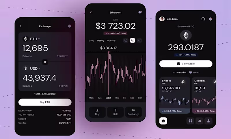 Cover image for Comprehensive Fintech App