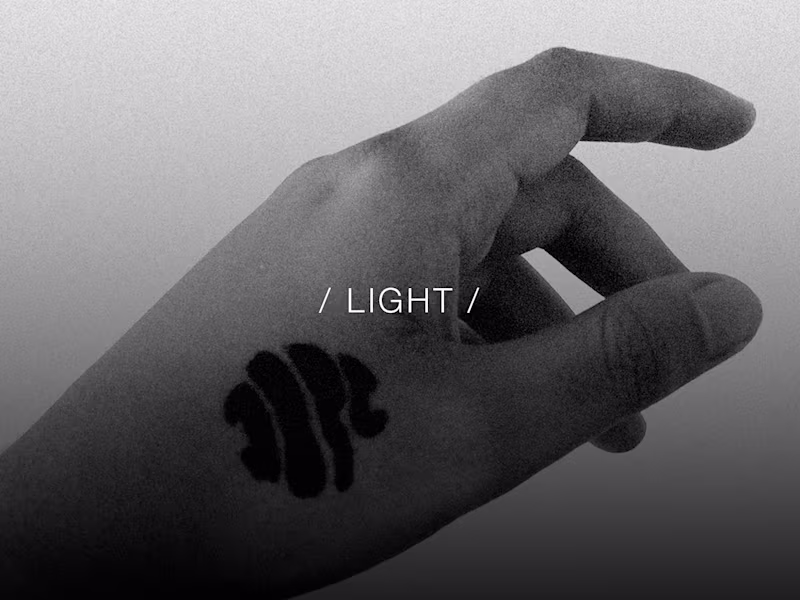 Cover image for / LIGHT /