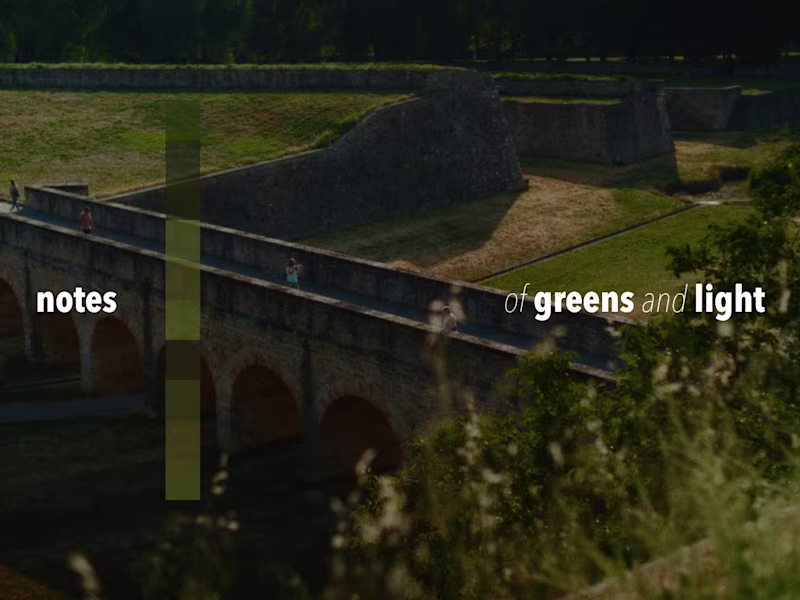 Cover image for Visual Notes of Greens and