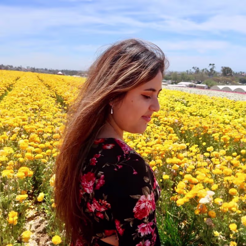 Cover image for YouTube Management