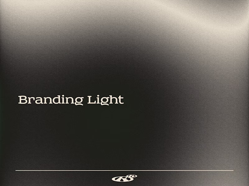 Cover image for Branding Light