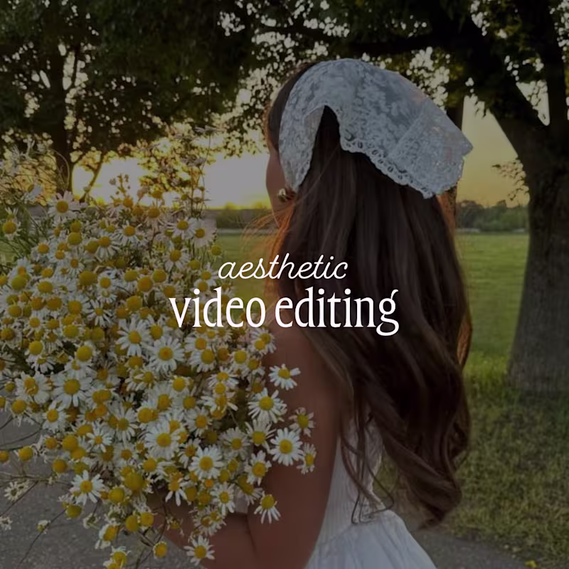Cover image for Aesthetic Video Editing