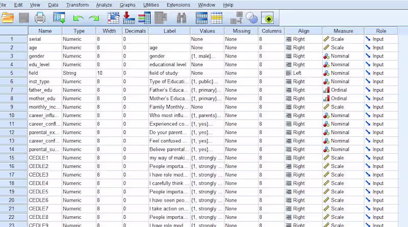 Cover image for SPSS Data Analysis & Statistical Research Support