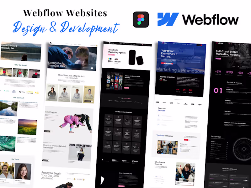 Cover image for Webflow Websites (Pixel-Perfect Build + Fast + Responsive)