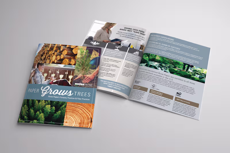 Cover image for Sales Collateral Design & Development