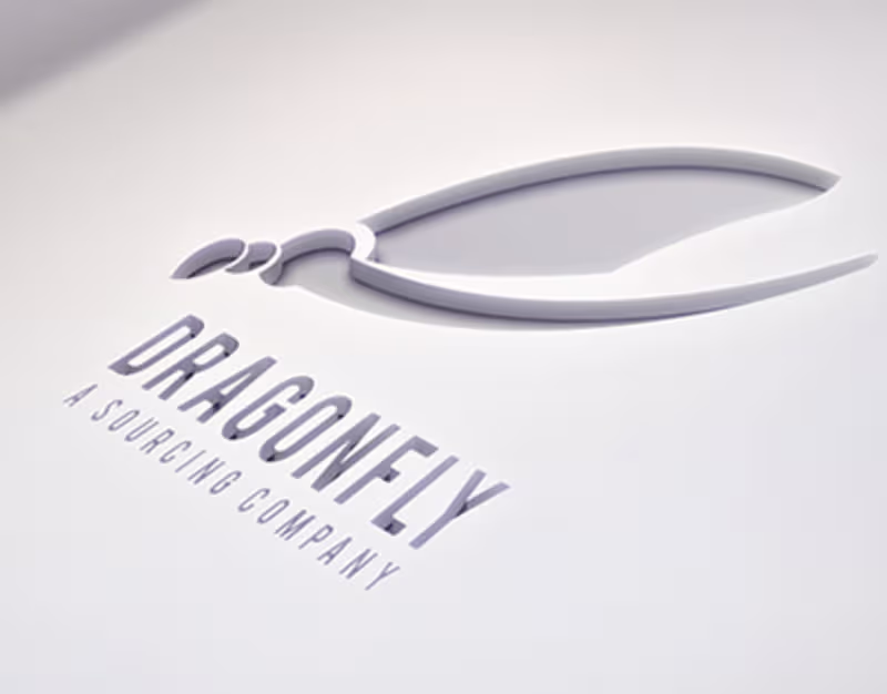 Cover image for Branding: Dragonfly - A Sourcing Company.