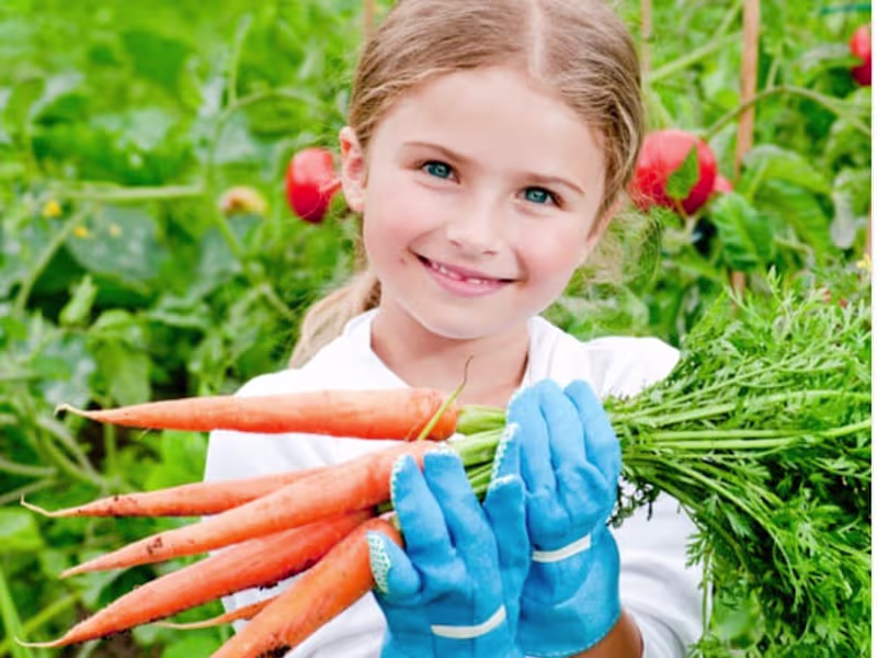 Cover image for A Vegetarian's Guide to Planning & Growing a Garden