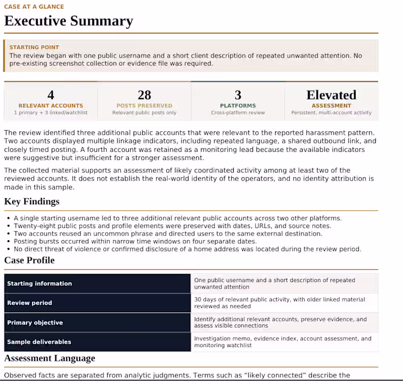 Cover image for An example of an Executive