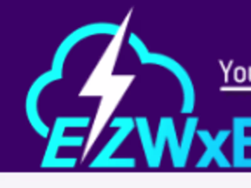 Cover image for EZWXBRIEF™