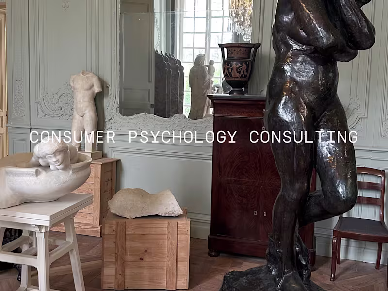 Cover image for Consumer Psychology Consulting 