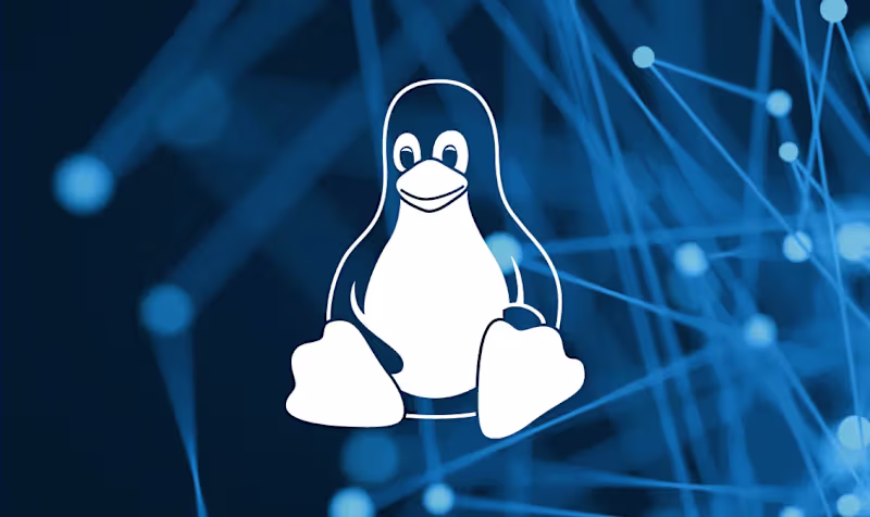 Cover image for Custom Linux Bash Scripting & Automation