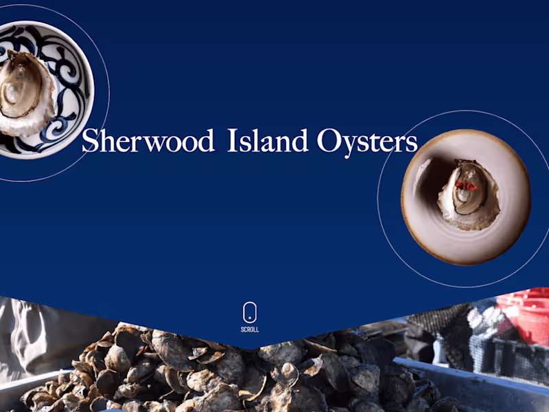 Cover image for Webflow website design and development for Oysters firm