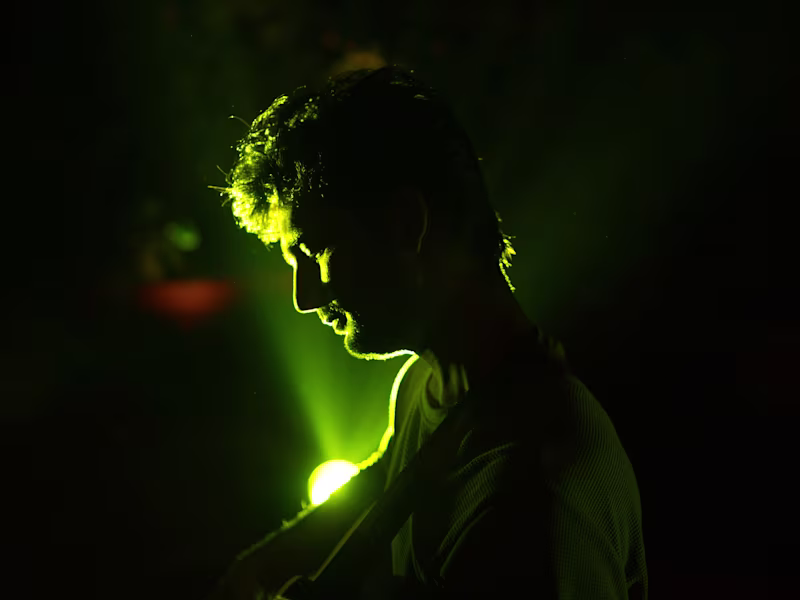 Cover image for I will be the singer / vocalist for your next song