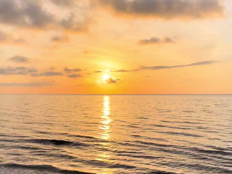 Cover image for Exploring Palm Beach • Eau Palm Beach Resort & Spa