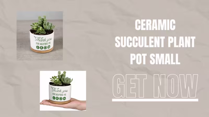 Cover image for Teachers Appreciation Gift, Ceramic Succulent Plant Pot Small F…